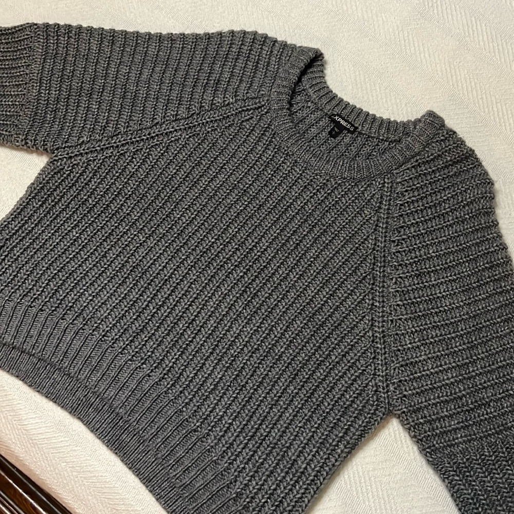 Express women’s crewneck Sweater